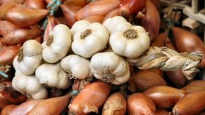 garlic-and-onions_89_2014060307
