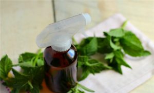 homemade-air-freshener